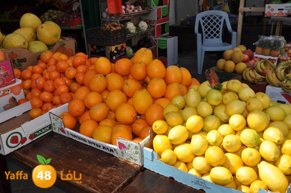 markaz khodare 3 (22).JPG